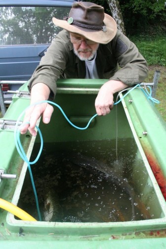 NJK-Fische