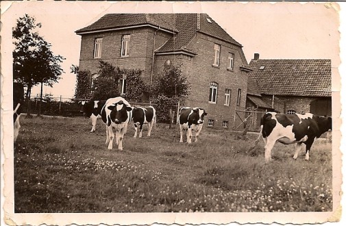 Platz und Nahrung für einen Teller voll Kraft, jeden Tag aufs Neue. Schulenburg-Nord ist Auffangbecken, der Flughafen nebenan wird es später auch. Foto: privat